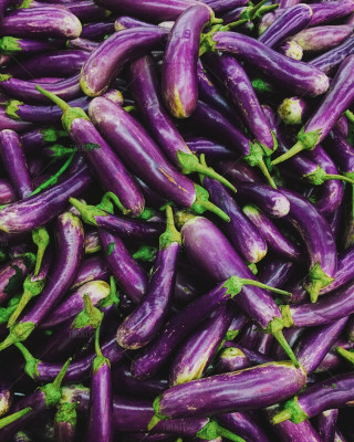 UGRA Brinjal/Eggplant Vegetable Seed(400 per packet)