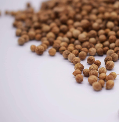 KNESSiN Herb Seed(500 per packet)