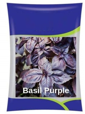 KNESSiN High Yielding Purple Basil Herb-{800 Seeds} Seed(800 per packet)