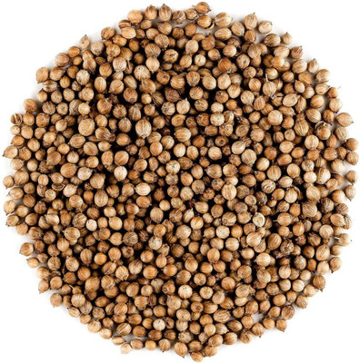 WILLVINE Cilantro Seeds Non-gmoUsa NOT China-[2500 Seeds] Seed(2500 per packet)