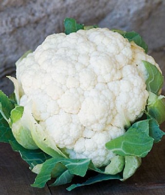 Quentova Organic white cauliflower-11Y-AJ Seed(250 per packet)