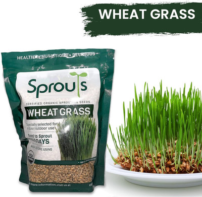 Biosnyg Non-Treated Wheatgrass Growing SeedSeedfor Sprouting & Juicing-(5000 Seeds) Seed(5000 per packet)