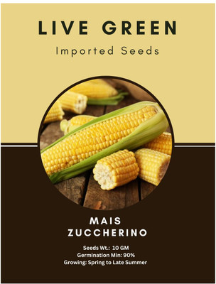 WILLVINE SYN -II Organic Popcorn Small Corn Seeds-[100g] Seed(400 per packet)