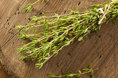 VibeX GUA-83 - Orange Thyme - (150 Seeds) Seed(150 per packet)