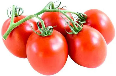 Mozette Organic Roma tomato Seed(48 per packet)
