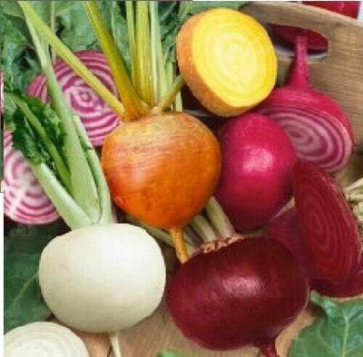 KNESSiN Beetroot Mixed Seed(200 per packet)