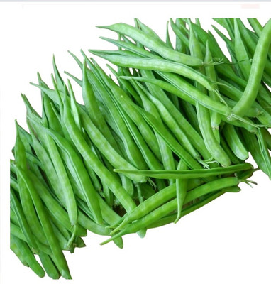 WATIKA Guwar/Cluster Beans Seed(1000 per packet)