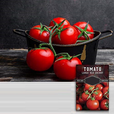 Quentova Tomato Seeds Seed(400 per packet)