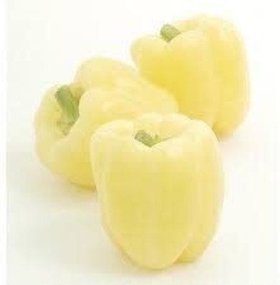 TRICONE Hybrid White Capsicum Shimla mIrch शिमला मिर्च के बीज 100 Seeds 
 FG199 Seed(100 per packet)