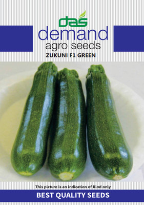 KRASHAK Zukini, Zucchini Seed(2 per packet)