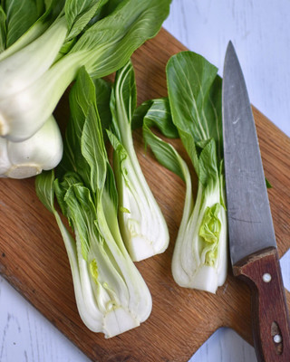 Quentova Pak Choi | Cantong White | Open Pollinated, Non GMO-AJ-5M Seed(300 per packet)