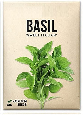 WILLVINE Non-GMO F1 HybridSweet Basil-5000 Seeds Seed(5000 per packet)