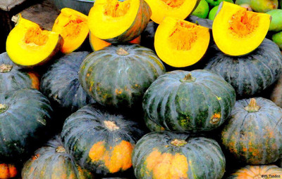 NurseryFriends F1 Dark Hybrid Rainy Season Pumpkin SeedS Kumro Kaddu Seeds for Farming Seed Seed(85 per packet)