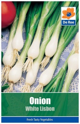 CYBEXIS Onion (White Lisbon)4000 Seeds Seed(4000 per packet)