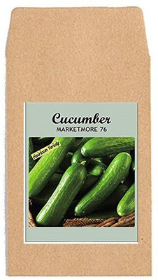 CYBEXIS Hybrid Vegetable Seeds-Cucumber Marketmore2000 Seeds Seed(2000 per packet)