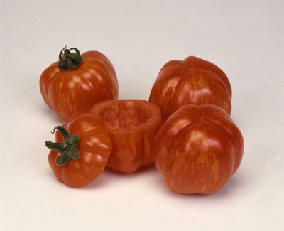 CYBEXIS Seeds of Vegetable Tomato Striped Stuffer2000 Seeds Seed(2000 per packet)