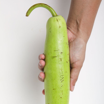 the green dotcom Fresh VNR Botlle Gourd (lokki) Vegetable Hybrid Seed(60 per packet)