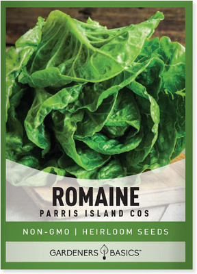 VibeX TLX-75 - Romaine Lettuce - (1350 Seeds) Seed(1350 per packet)