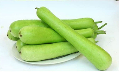 CYBEXIS NBIR-93 - Hydroponics Long Bottle Gourd लोकि बीज - (900 Seeds) Seed(900 per packet)
