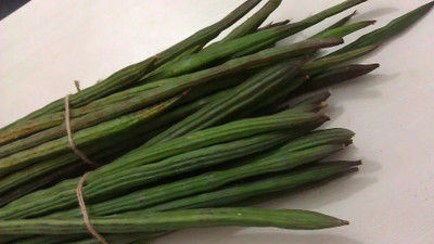 RSLT Drumsticks organic Moringa Oleifera /Sehjan Seed(250 per packet)