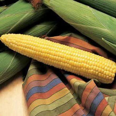 VibeX ATS-84 - Honey Select Triplesweet Hybrid Corn - (250 Seeds) Seed(250 per packet)