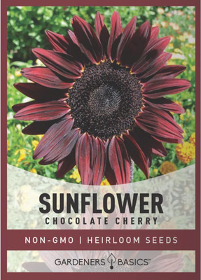 VibeX ® XLR-320 Chocolate Cherry Sunflower Seeds Seed(200 per packet)