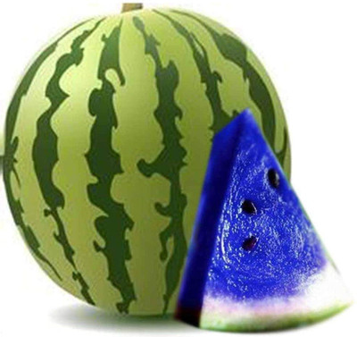 CYBEXIS Blue Watermelon Seed(100 per packet)