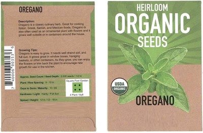 Qualtivate XXX-8A Oregano Common Italian Seeds Seed(200 per packet)