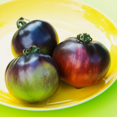 Biosnyg Apple Indigo Tomato Summer Vegetable Seeds For Gardening - (400 Seeds) Seed(400 per packet)