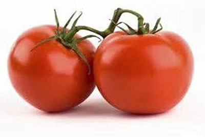 DIVINE TOMATO , TAMATAR Seed(50 per packet)