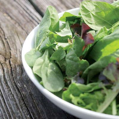 Qualtivate XXX-5A Salad Variety Spinach Blend Seed(300 per packet)