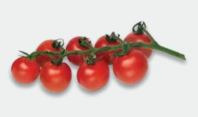 CYBEXIS (GMO Free)Tomato Super Sweet Seeds2000 Seeds Seed(2000 per packet)