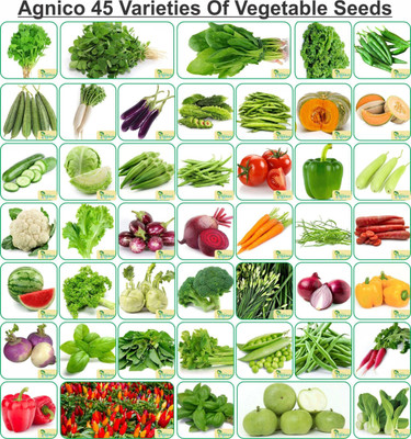 Agnico Agnico 45 Varieties of Vegetable Seeds Seed(1 per packet)
