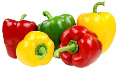 Aywal Capsicum Mix Color Shimla Mirch Seed(380 per packet)