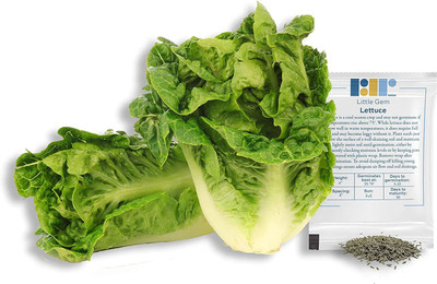 VibeX LX-13 - Little Gem Romaine Lettuce - (450 Seeds) Seed(450 per packet)