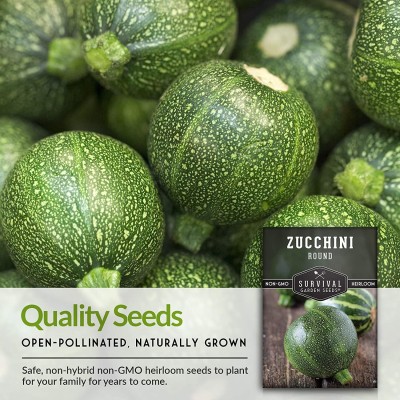 VibeX TLX-41 - Round Zucchini for Planting - (75 Seeds) Seed(75 per packet)