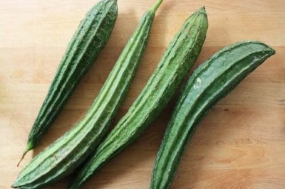 CYBEXIS VVI-4 - Ridge Gourd |Turia Non-GMO - (100 Seeds) Seed(100 per packet)