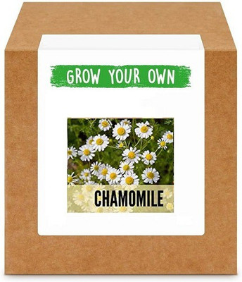 CYBEXIS Chamomile400 Seeds Seed(400 per packet)