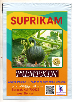 SUPRIKAM BIG SIZE PUMPKIN/KUMRA GROW IN YOUR GARDEN TO CREAT NATUTE BEAUTY Seed(10 per packet)
