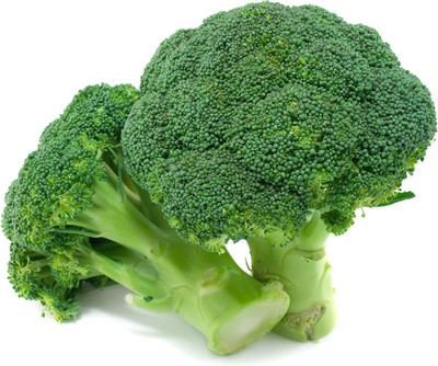 CYBEXIS Organic Broccoli Seeds GROENE Calabrese 2000 Seeds Seed(2000 per packet)