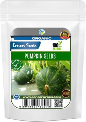 Erwon Erwon Organic Pumpkin Seed(10 g)