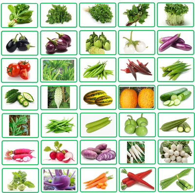 CRGO VEGETABLE COMBO Seed(4200 per packet)