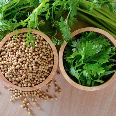 LPR DHANIYA Seed(20 per packet)