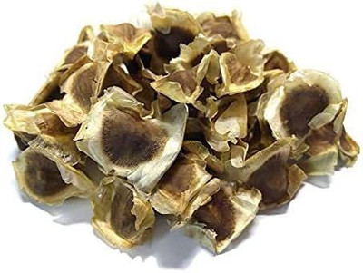 WILLVINE VXI-71 Organic Moringa Seeds PKM 2 Hybrid (Drumstick) Seed(100 per packet)