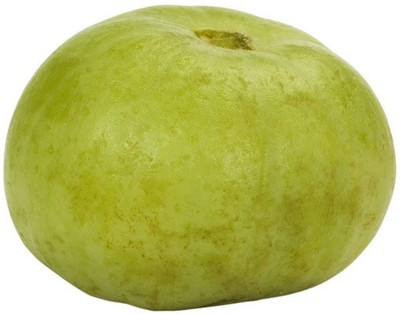 CYBEXIS Apple Gourd400 Seeds Seed(400 per packet)