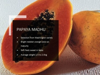 VibeX PAPAYA MADHU SEEDS(100 Seeds) Seed(100 per packet)