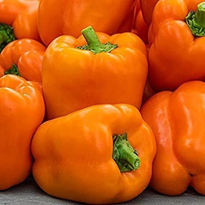 Aywal Orange Color Capsicum, Shimla Mirch Seed(20 per packet)