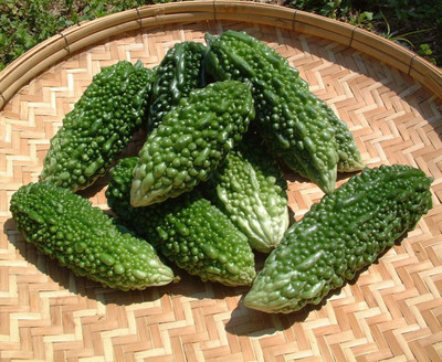 CYBEXIS Hybrid Bitter Gourd seeds800 Seeds Seed(800 per packet)