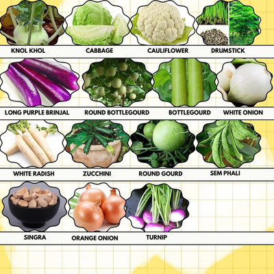 Greenery Hub 15 Vegetable Seed Combo for Home Garden Seed(15 per packet)