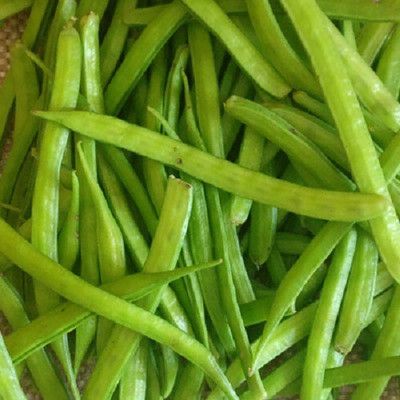 Cloud Farm Cluster Beans Seed(25 per packet)
